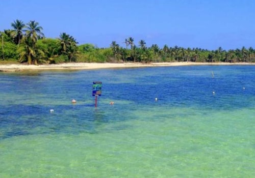 July Weather Forecast for Punta Cana